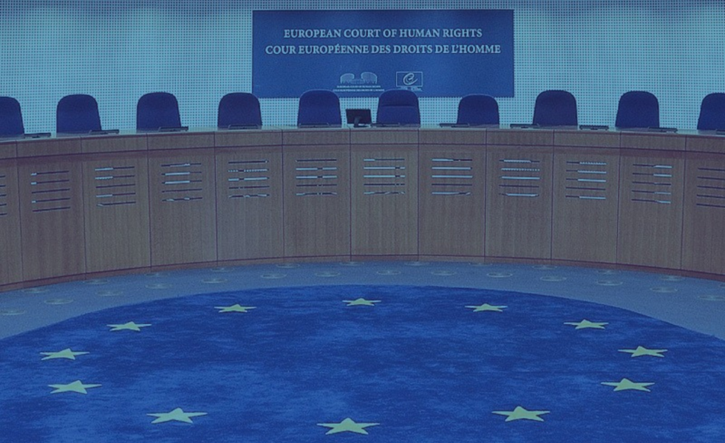 WOMEN'S COLLECTIVE COMPLAINT: LODGE AN APPLICATION TO THE EUROPEAN COURT OF HUMAN RIGHTS IN STRASBURG AGAINST THE RULING OF THE CONSTITUTIONAL TRIBUNAL ON ABORTION