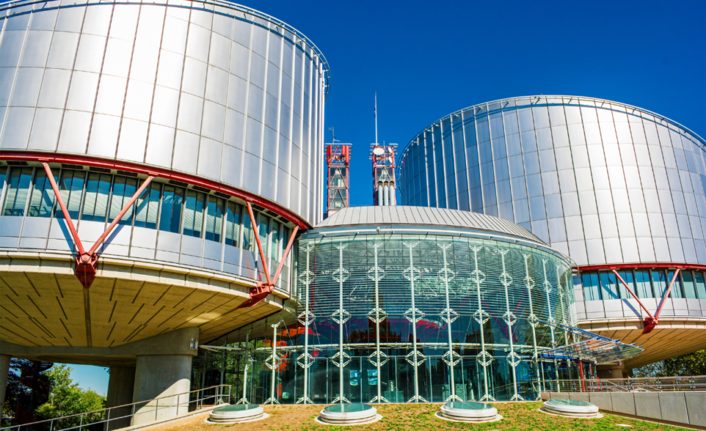 AMICUS CURIAE BRIEF TO THE EUROPEAN COURT OF HUMAN RIGHTS IN THE CASE V.M V. POLAND